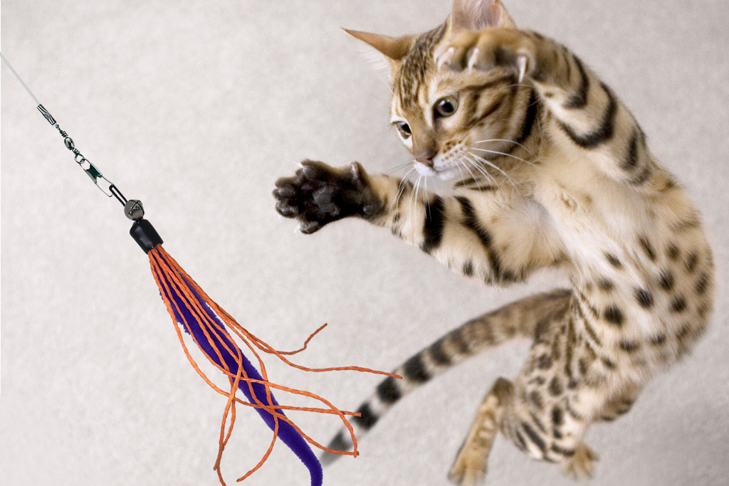 Cat toy fishing rod feather rattle play toy