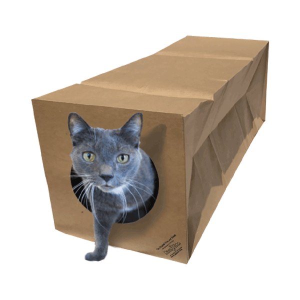 Unique cat tunnel toy accordion fold Dezi Roo