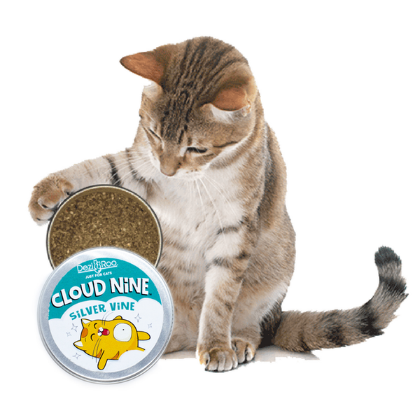 Cloud 9 cat deals treats
