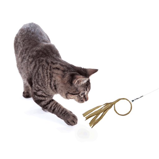 Take top cat toy