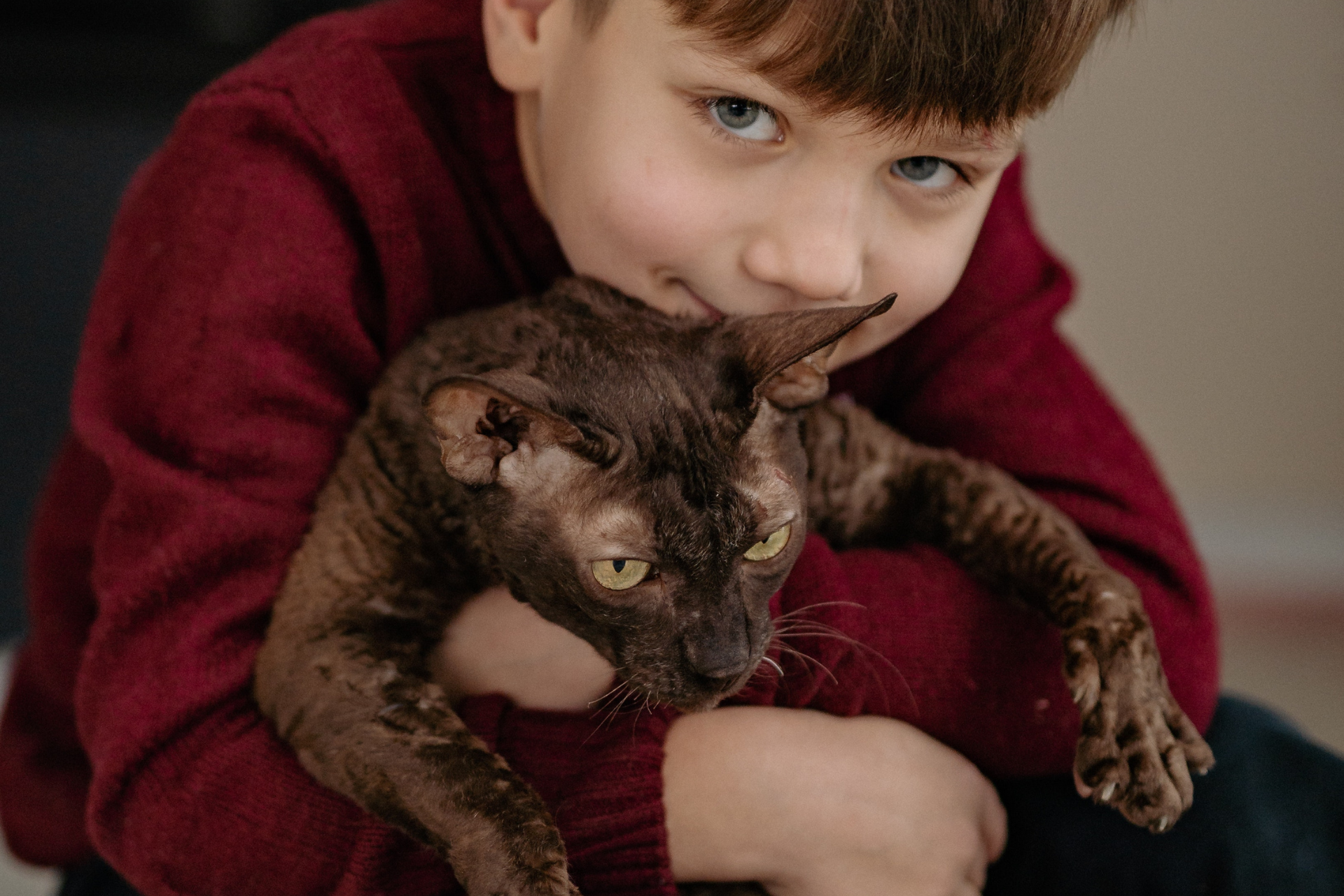 How To Bond With Your Cat