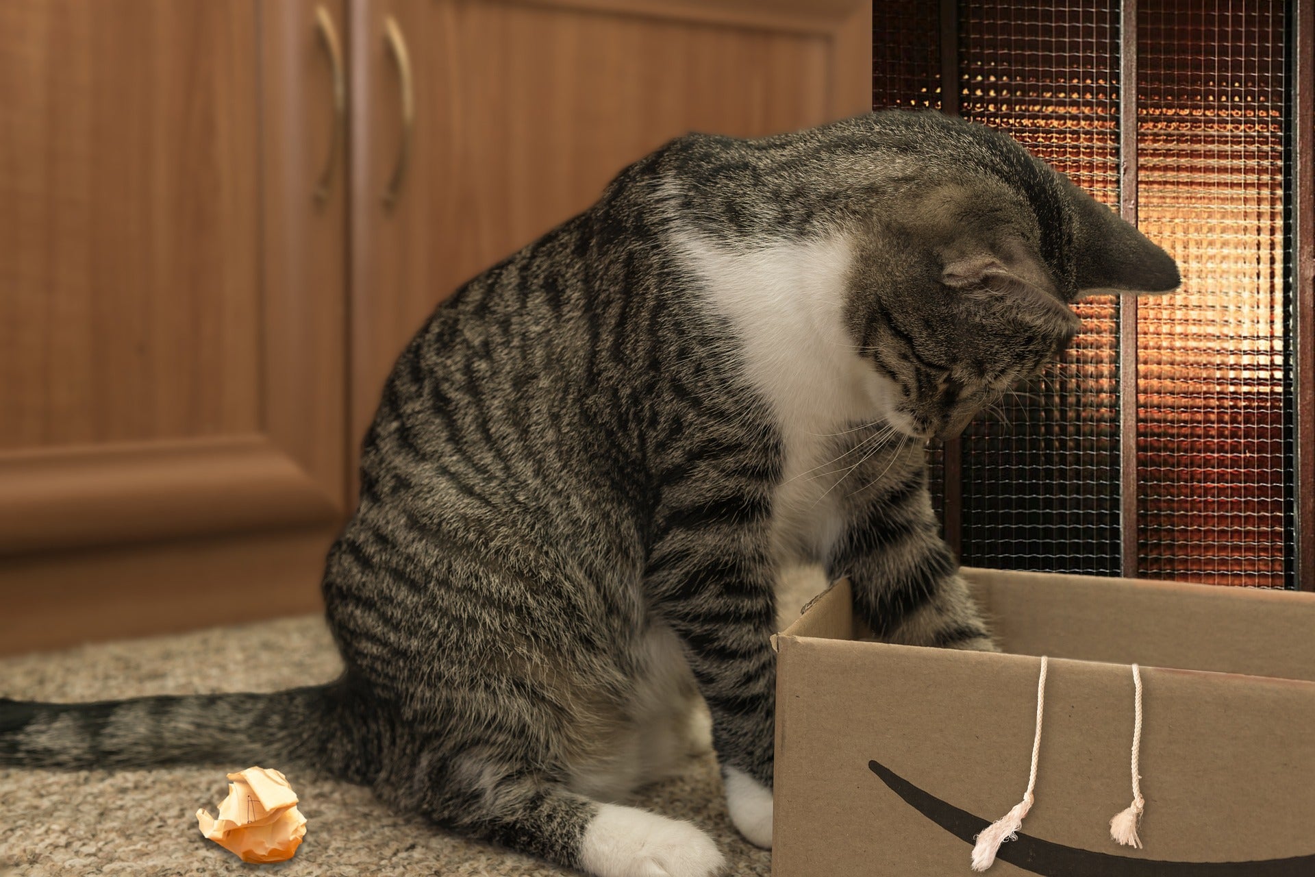 Why the Material of a Cat Toy Matters