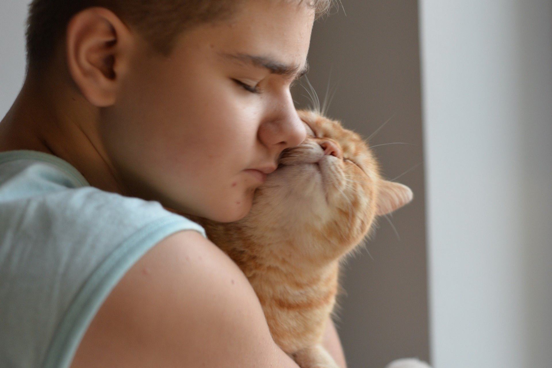 The Benefits of Living With Cats