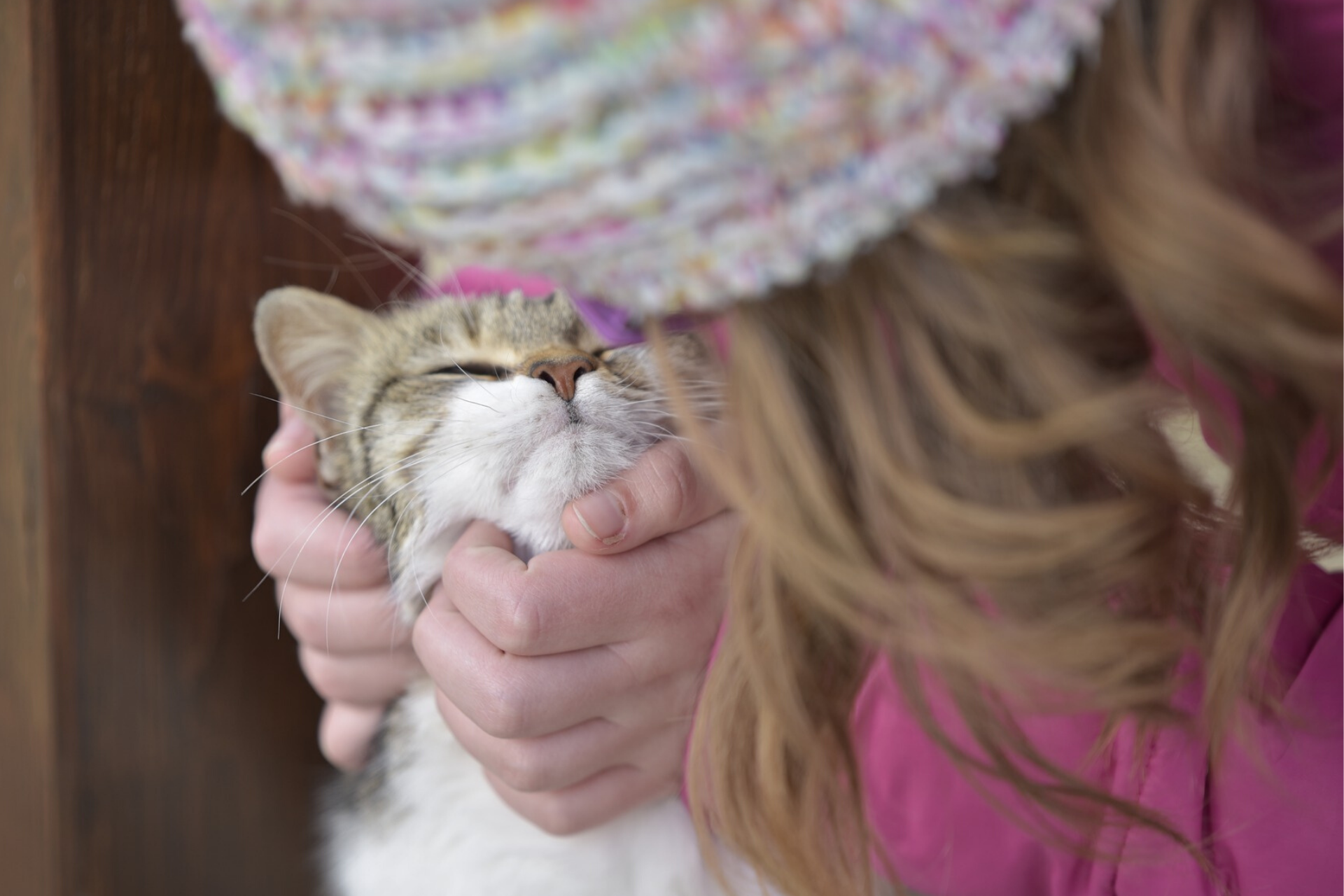 More good reasons to love cats