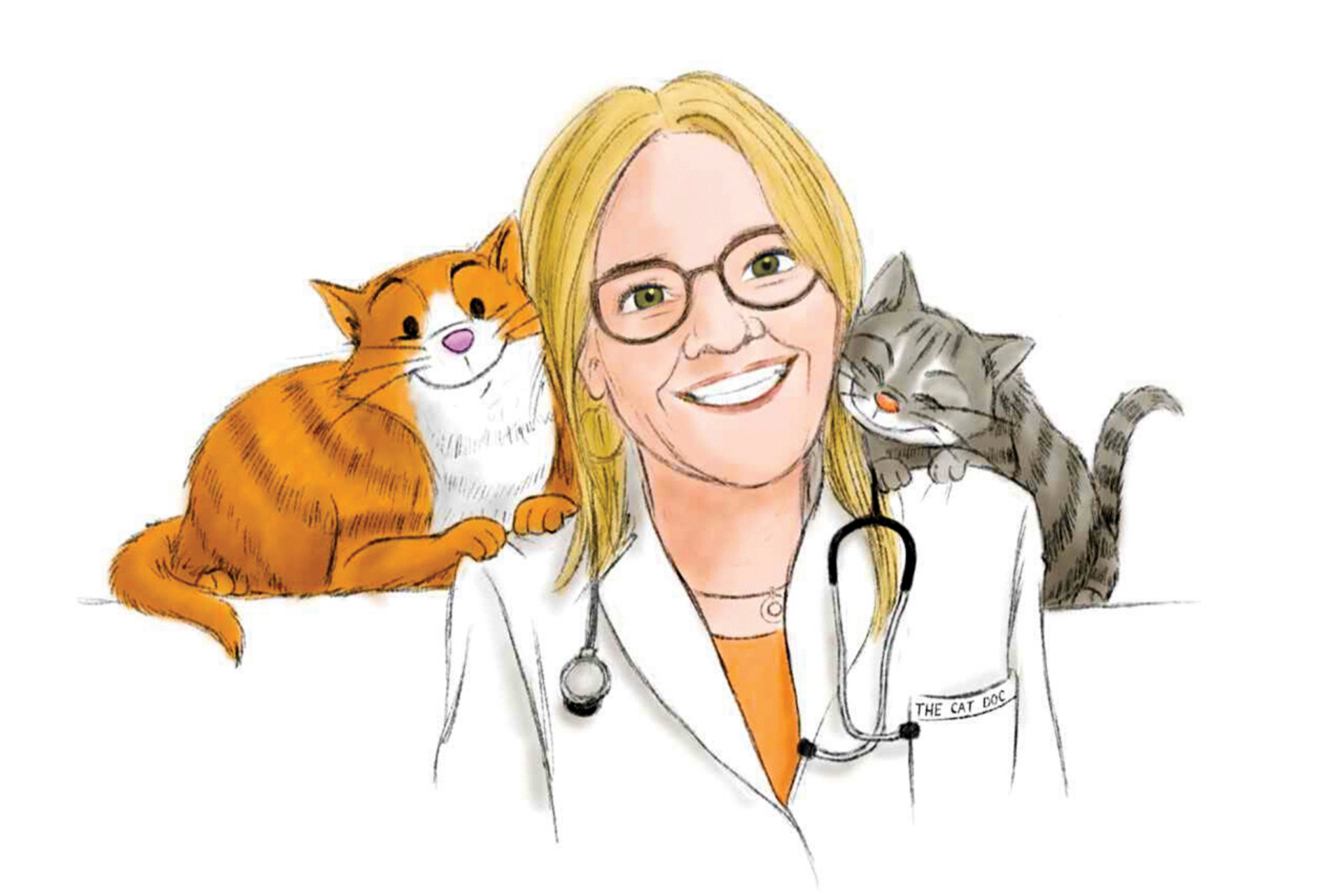 From Veterinarian to Cat Toy Maker