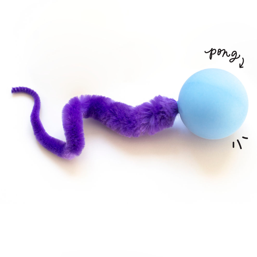 Purrfect Play Pack Bundle
