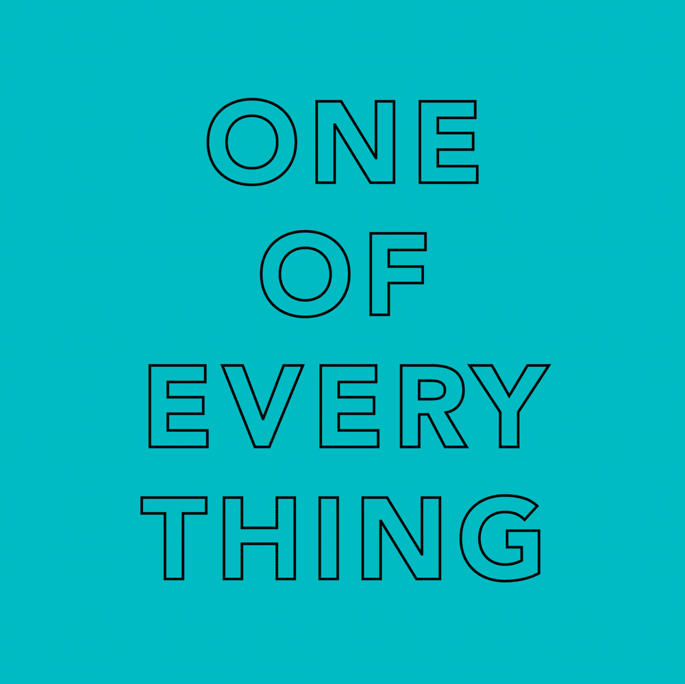 Dezi & Roo - one of everything - expertly designed cat toys for your bored indoor kitty