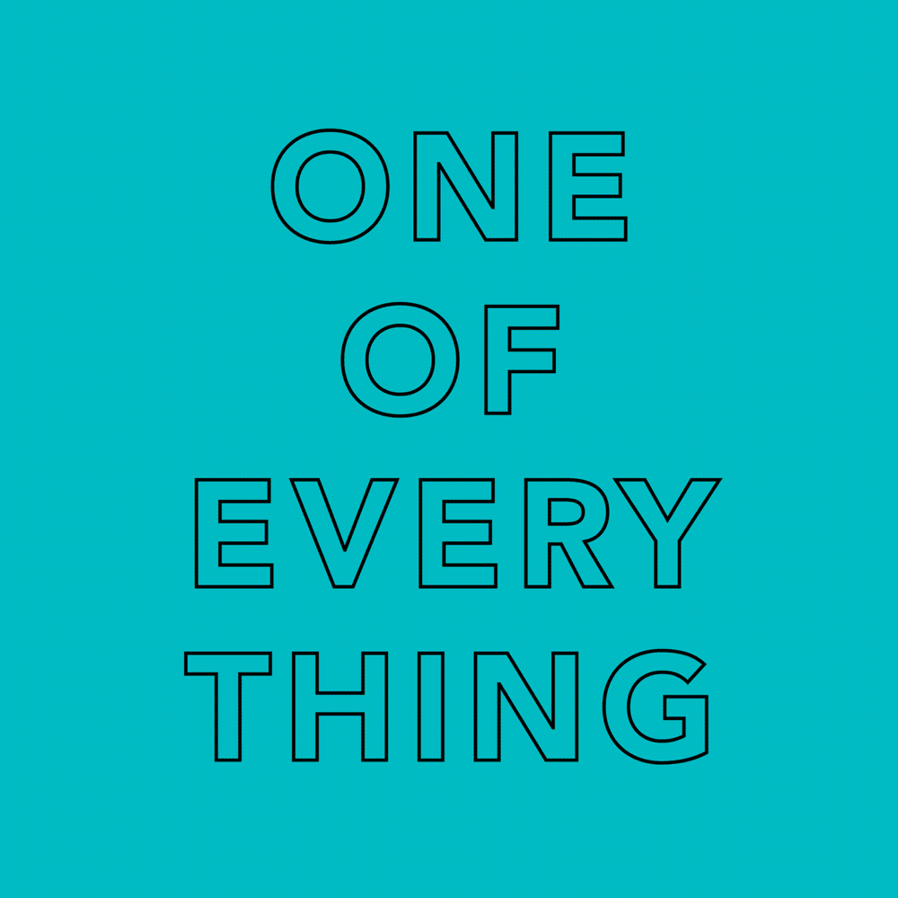 Dezi & Roo - one of everything - expertly designed cat toys for your bored indoor kitty