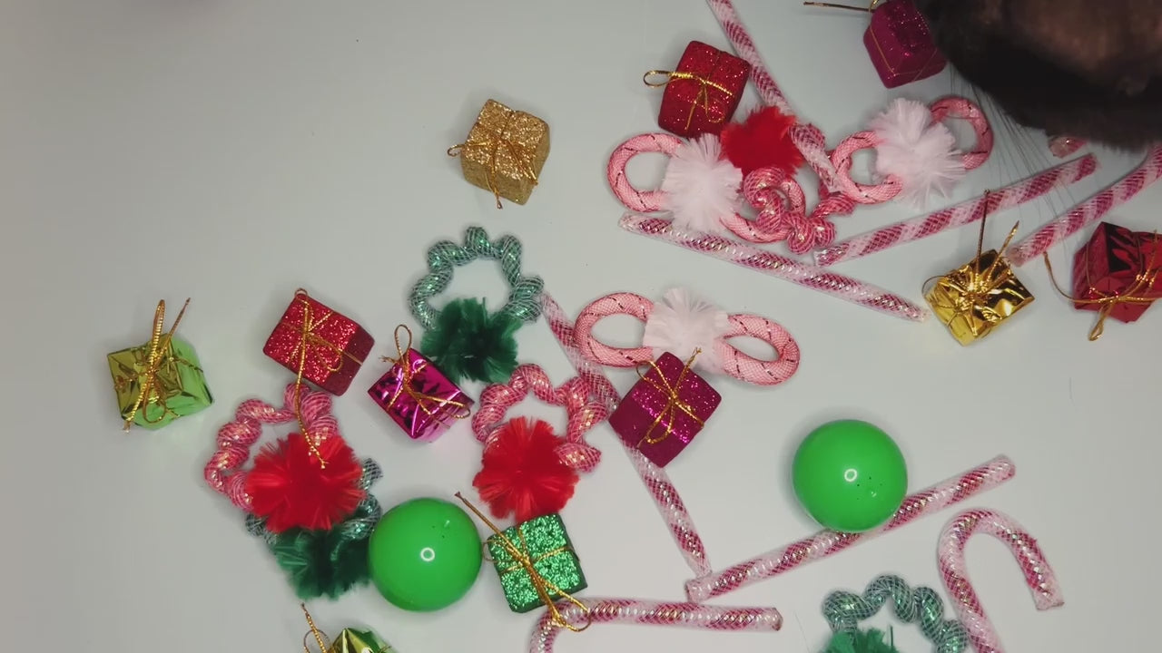 Dezi & Roo - Tis the Season – exclusive toys for naughty and nice cats