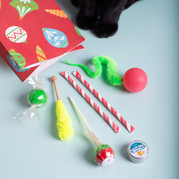 Dezi & Roo - Holiday Scent Enrichment Treat Bag