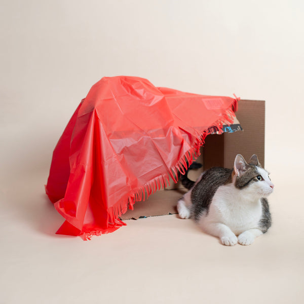 Dezi & Roo - Magic Carpet b- play tent for cats - plastic sheet