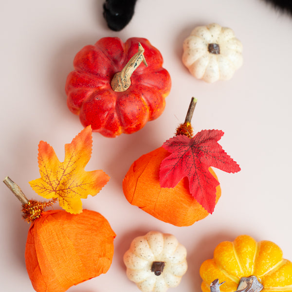 Dezi & Roo - Fall surprise ball - pumpkin - autumn cat gift