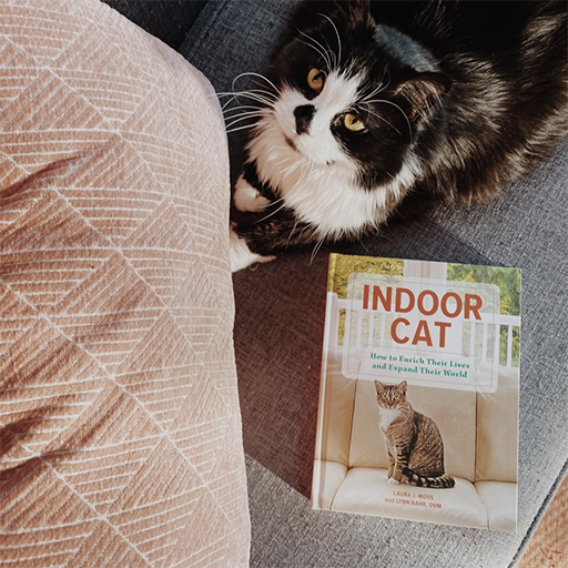 Indoor Cat - Book