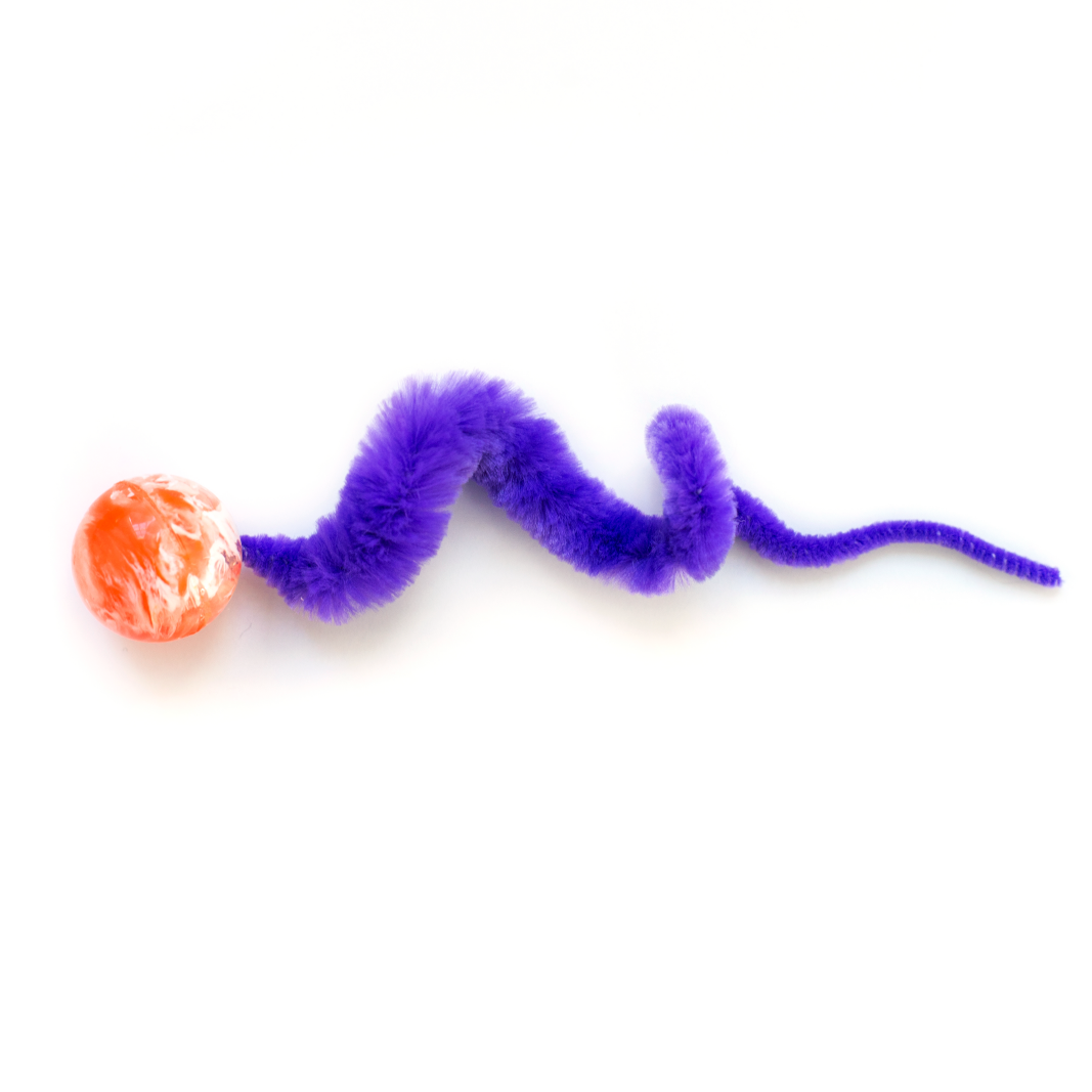 Wiggly Ball - Dezi & Roo