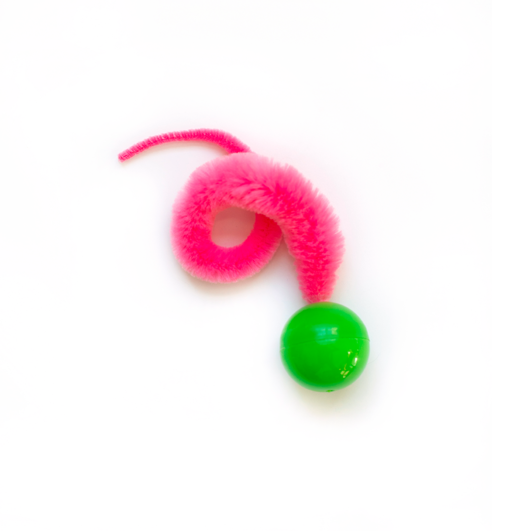 Wiggly Ping - Dezi & Roo