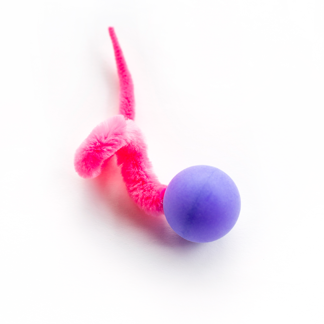 Wiggly Pong - Dezi & Roo