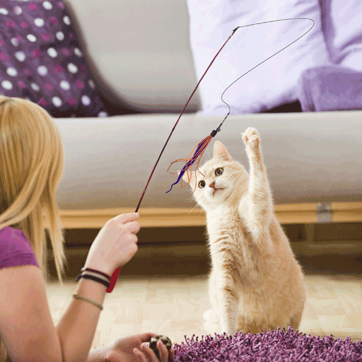 Wiggly Wand Cat Toy - Choose Your Attachment – Dezi & Roo